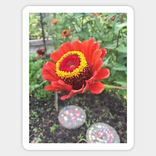 Red and Yellow Poppy Sticker